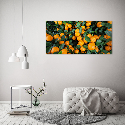 Glass acrylic wall art Tangerines