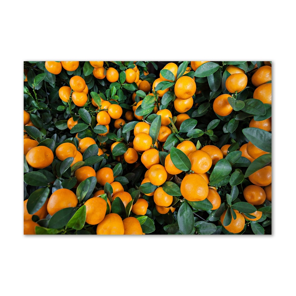 Glass acrylic wall art Tangerines