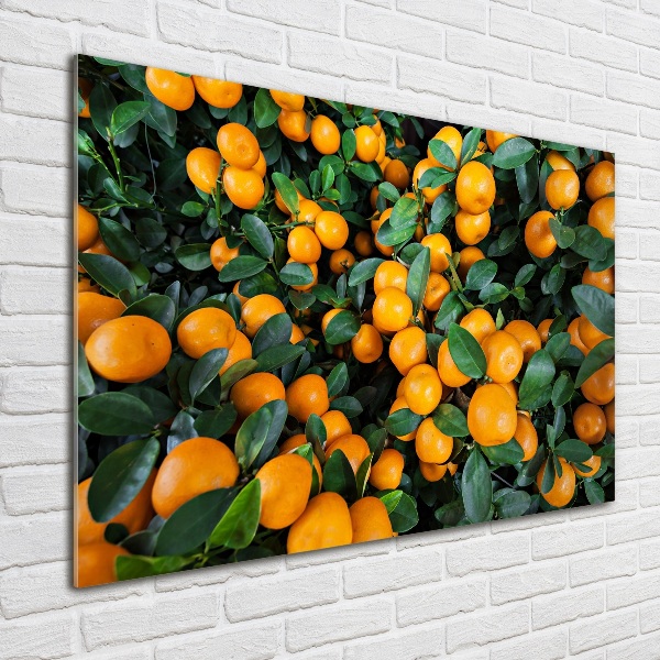 Glass acrylic wall art Tangerines