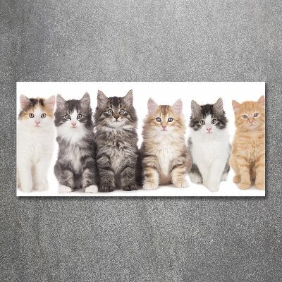 Glass acrylic wall art Six cats