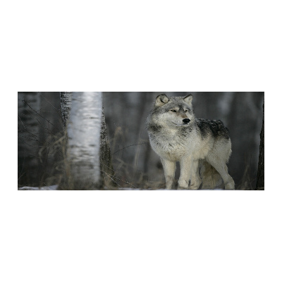 Glass acrylic wall art Gray wolf