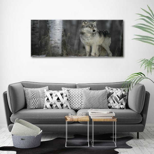 Glass acrylic wall art Gray wolf