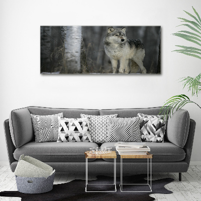 Glass acrylic wall art Gray wolf