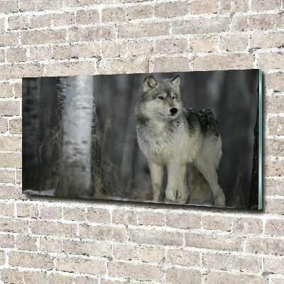 Glass acrylic wall art Gray wolf