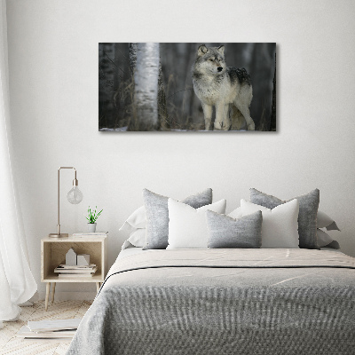 Glass acrylic wall art Gray wolf