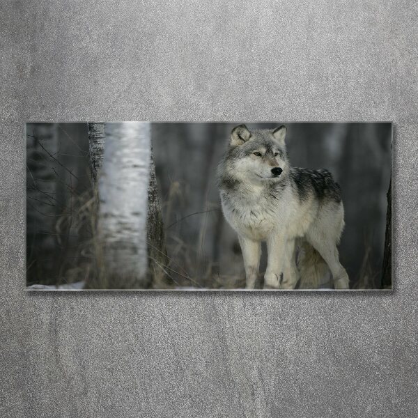 Glass acrylic wall art Gray wolf