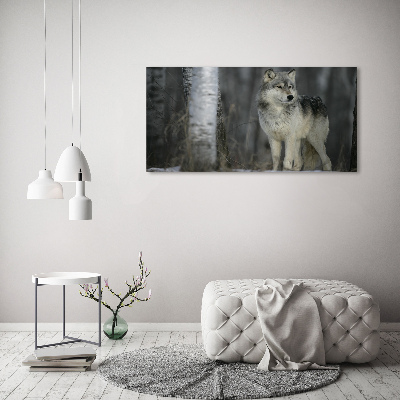 Glass acrylic wall art Gray wolf