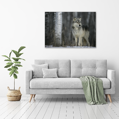 Glass acrylic wall art Gray wolf