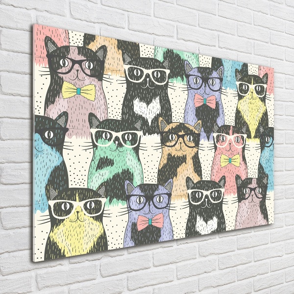 Glass acrylic wall art Cats with glasses