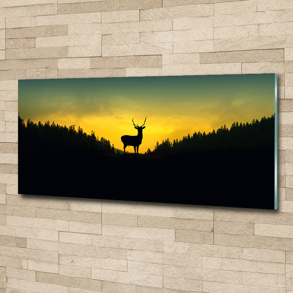 Glass acrylic wall art Deer