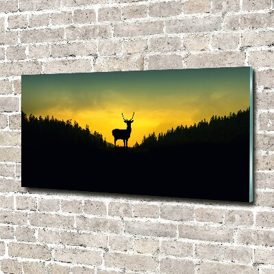 Glass acrylic wall art Deer