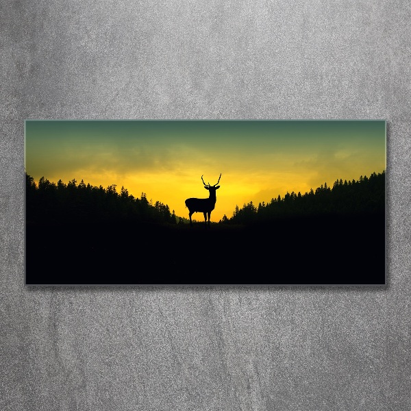 Glass acrylic wall art Deer