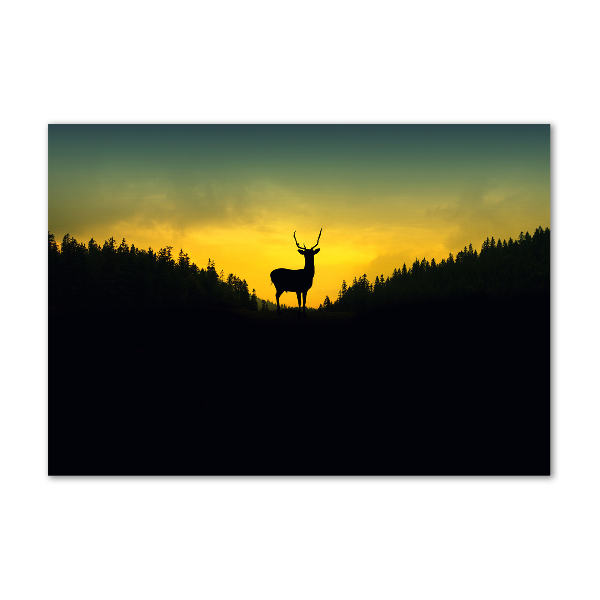 Glass acrylic wall art Deer