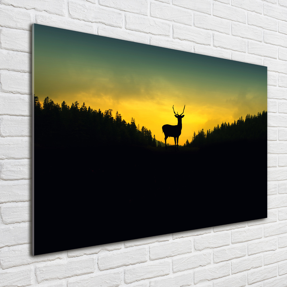 Glass acrylic wall art Deer