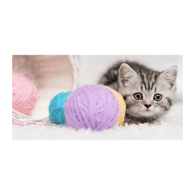 Acrylic print Cat with skeins