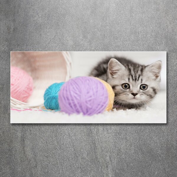 Acrylic print Cat with skeins