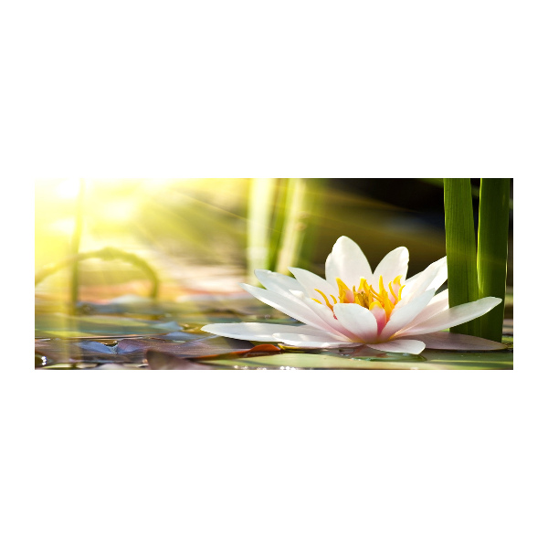 Wall art acrylic water lily