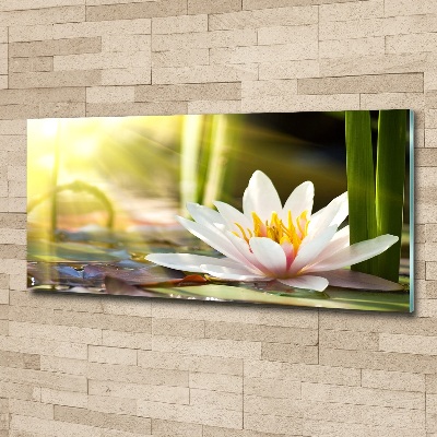 Wall art acrylic water lily