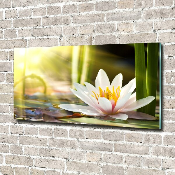 Wall art acrylic water lily