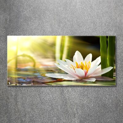 Wall art acrylic water lily