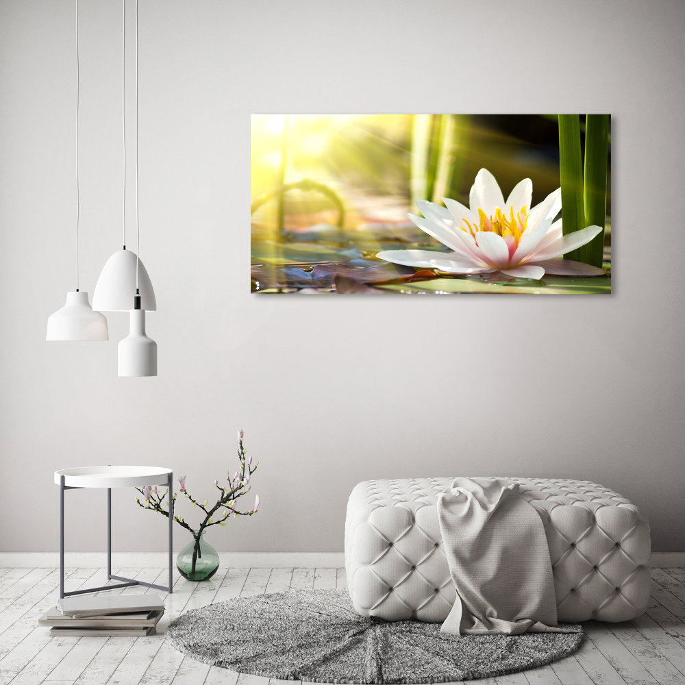 Wall art acrylic water lily