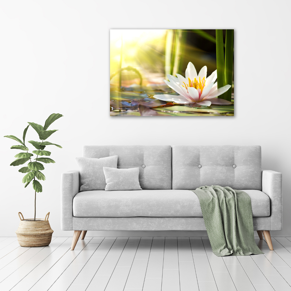 Wall art acrylic water lily