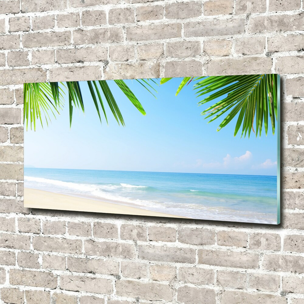 Acrylic wall art Tropical beach