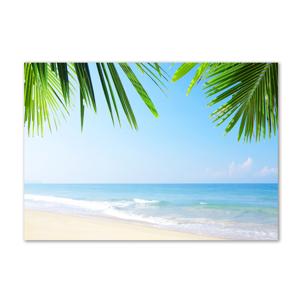 Acrylic wall art Tropical beach