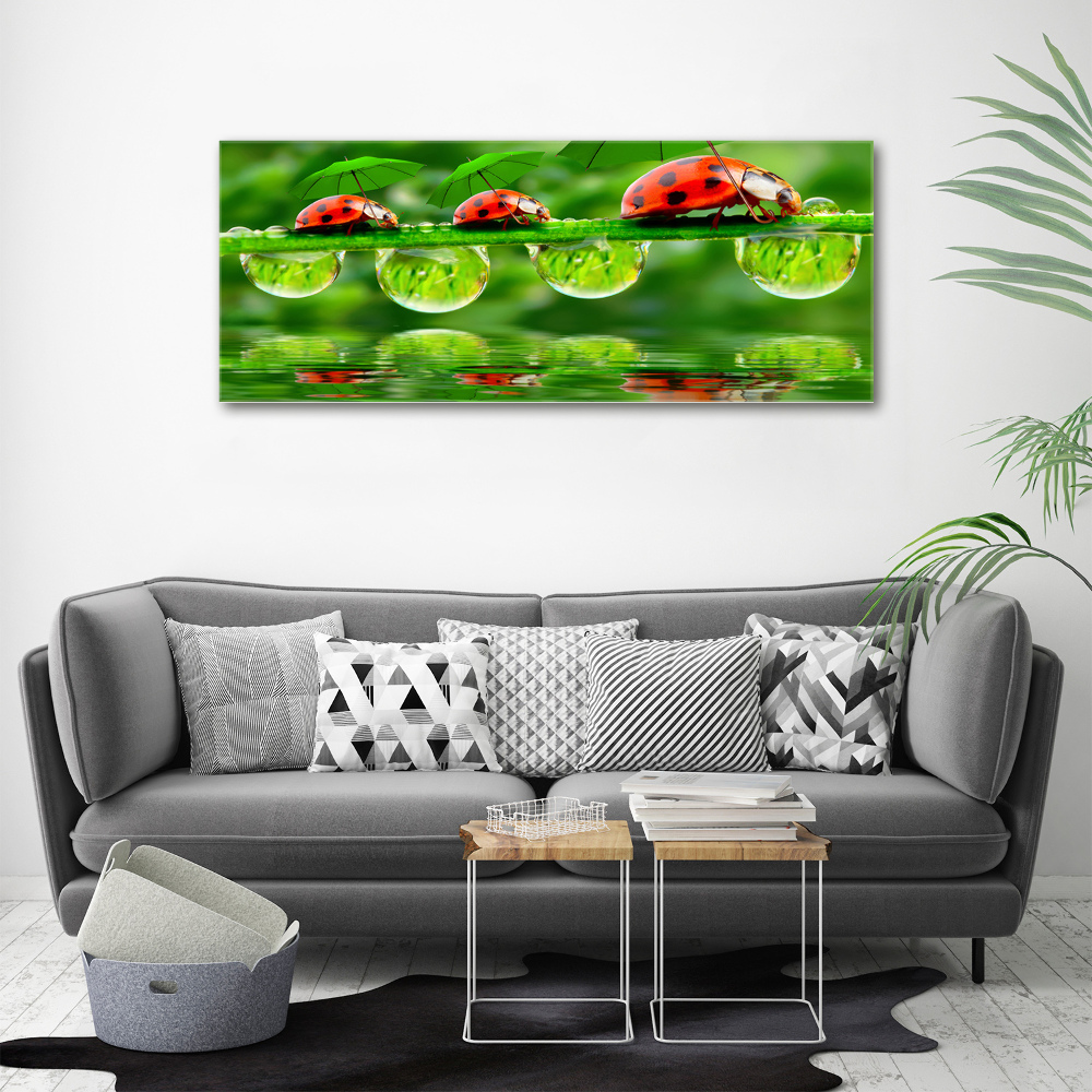 Acrylic print Ladybugs