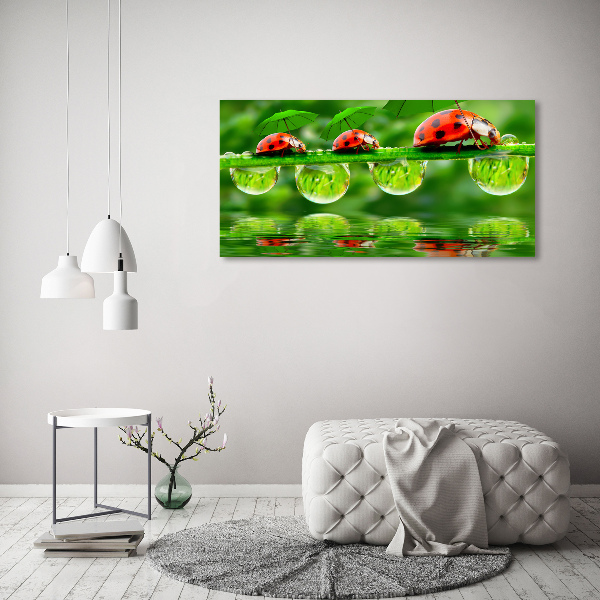 Acrylic print Ladybugs