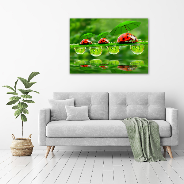 Acrylic print Ladybugs