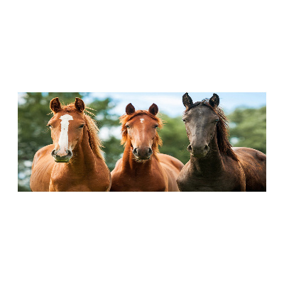 Glass acrylic wall art Three horses