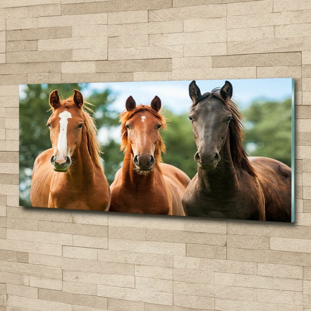 Glass acrylic wall art Three horses