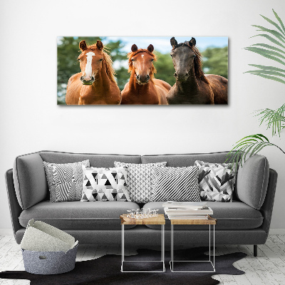 Glass acrylic wall art Three horses