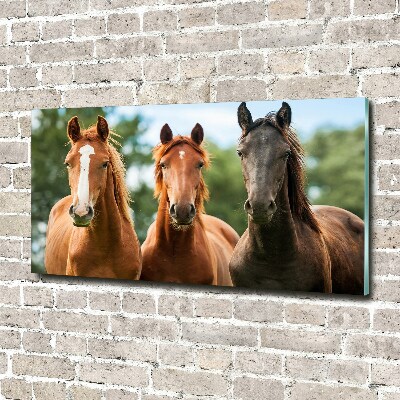 Glass acrylic wall art Three horses