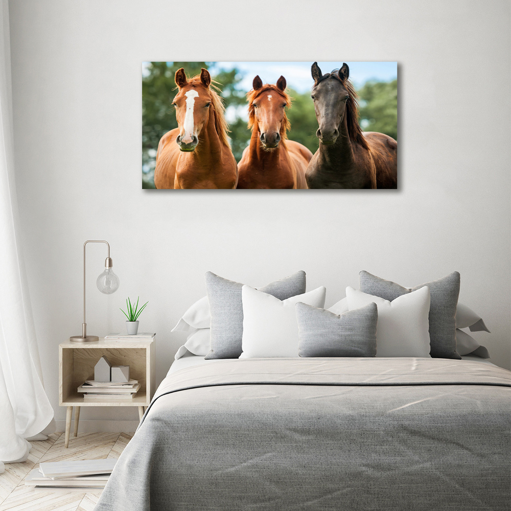 Glass acrylic wall art Three horses