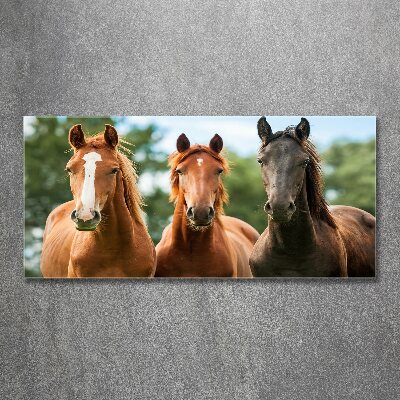 Glass acrylic wall art Three horses