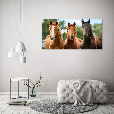 Glass acrylic wall art Three horses