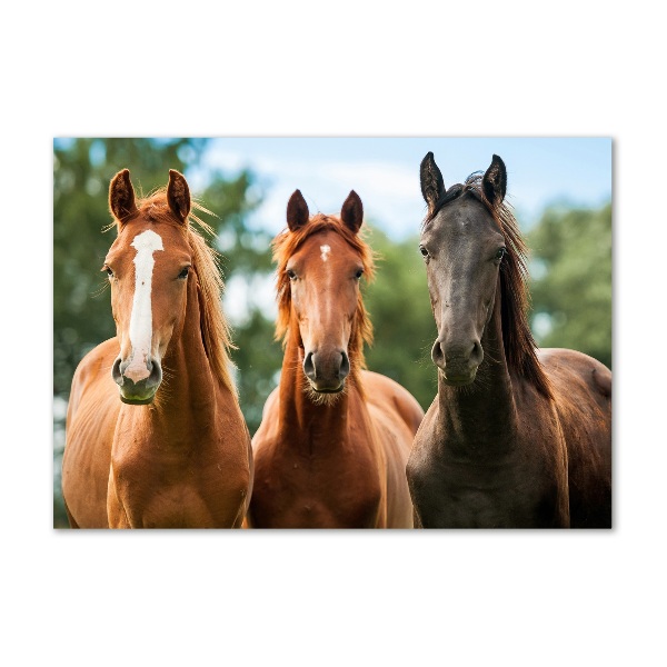 Glass acrylic wall art Three horses