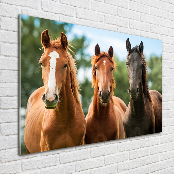 Glass acrylic wall art Three horses