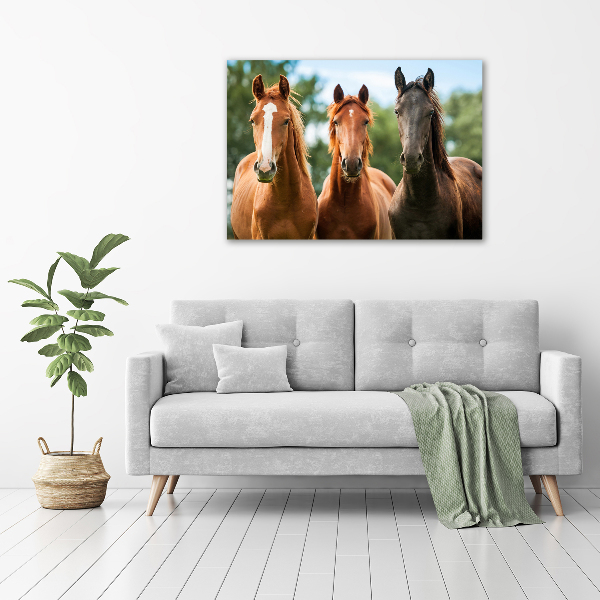 Glass acrylic wall art Three horses