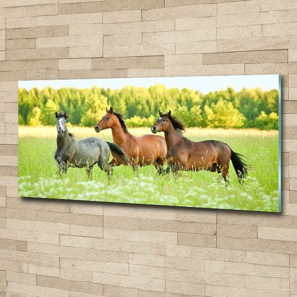 Glass acrylic wall art Horses at gallop