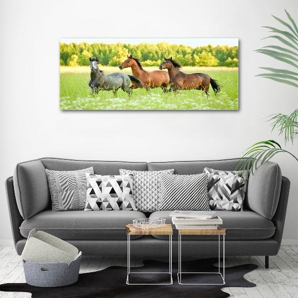 Glass acrylic wall art Horses at gallop