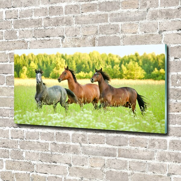 Glass acrylic wall art Horses at gallop