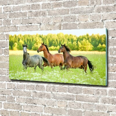 Glass acrylic wall art Horses at gallop