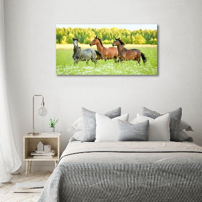 Glass acrylic wall art Horses at gallop