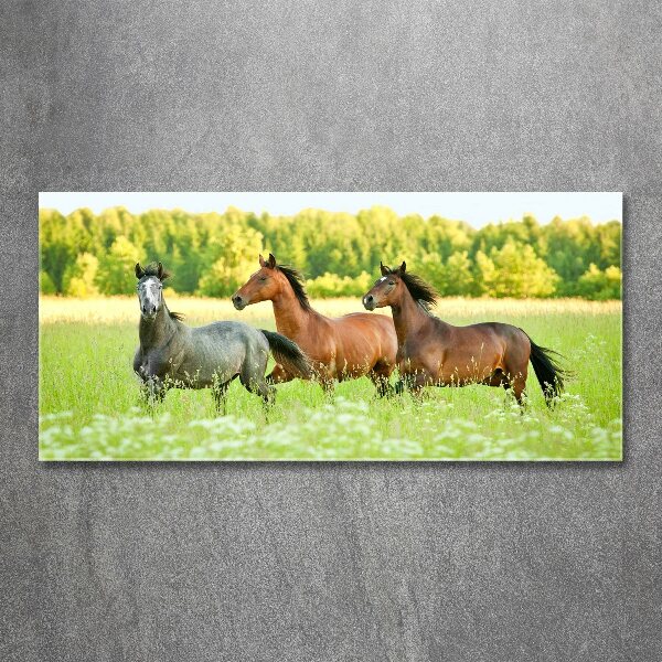 Glass acrylic wall art Horses at gallop