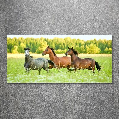 Glass acrylic wall art Horses at gallop