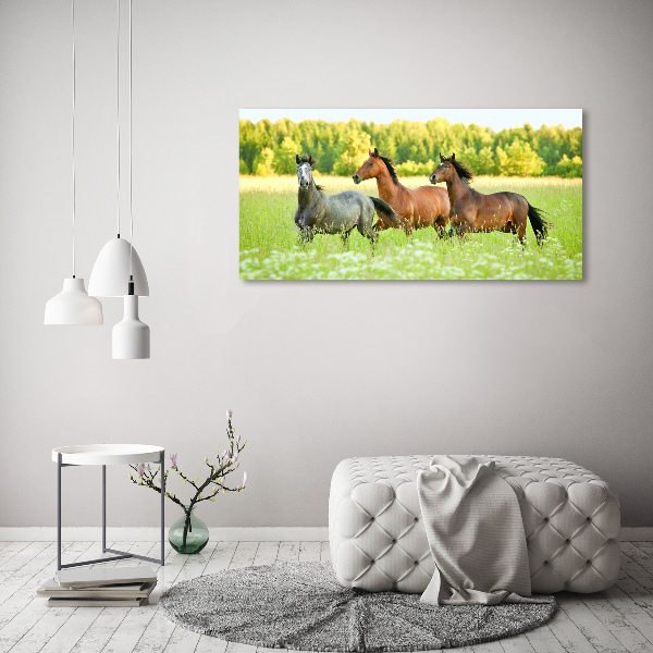 Glass acrylic wall art Horses at gallop