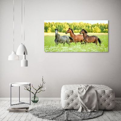 Glass acrylic wall art Horses at gallop